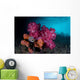 Soft Coral Colony and Wall Decal Design 1