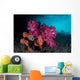 Soft Coral Colony and Wall Decal Design 1