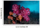 Soft Coral Colony and Wall Decal Design 1