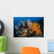 Soft Coral Colonies and Wall Decal