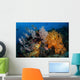 Soft Coral Colonies and Wall Decal
