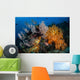 Soft Coral Colonies and Wall Decal