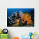 Soft Coral Colonies and Wall Decal