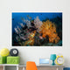 Soft Coral Colonies and Wall Decal