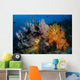 Soft Coral Colonies and Wall Decal