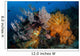 Soft Coral Colonies and Wall Decal