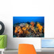 Beautiful Soft Coral Colonies Wall Decal Design 1