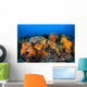 Beautiful Soft Coral Colonies Wall Decal Design 1