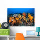 Beautiful Soft Coral Colonies Wall Decal Design 1
