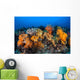 Beautiful Soft Coral Colonies Wall Decal Design 1