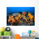 Beautiful Soft Coral Colonies Wall Decal Design 1