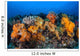 Beautiful Soft Coral Colonies Wall Decal Design 1