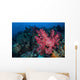 Beautiful Soft Coral Colony Wall Decal