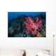 Beautiful Soft Coral Colony Wall Decal