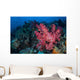 Beautiful Soft Coral Colony Wall Decal