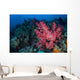 Beautiful Soft Coral Colony Wall Decal