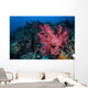 Beautiful Soft Coral Colony Wall Decal