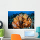 Beautiful Cluster Soft Coral Wall Decal Design 5