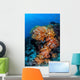 Beautiful Cluster Soft Coral Wall Decal Design 4