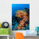 Beautiful Cluster Soft Coral Wall Decal Design 4