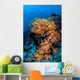 Beautiful Cluster Soft Coral Wall Decal Design 4
