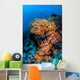 Beautiful Cluster Soft Coral Wall Decal Design 4