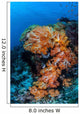 Beautiful Cluster Soft Coral Wall Decal Design 4