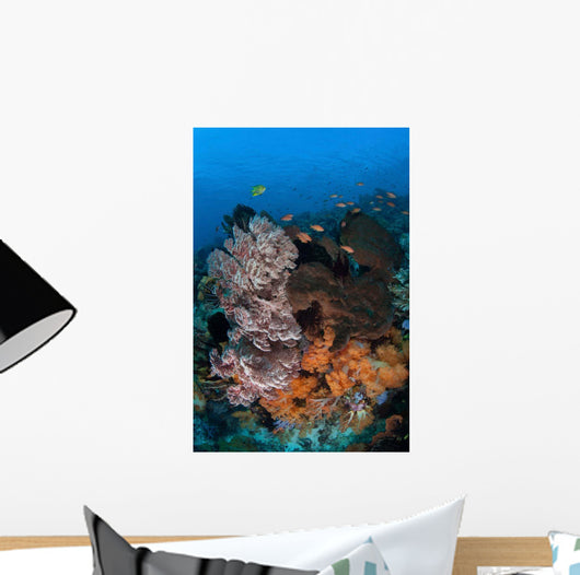 Colorful Healthy Coral Reef Wall Decal Design 7