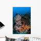 Colorful Healthy Coral Reef Wall Decal Design 7