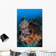 Colorful Healthy Coral Reef Wall Decal Design 7
