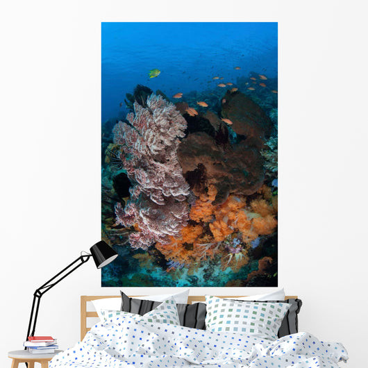 Colorful Healthy Coral Reef Wall Decal Design 7