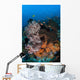 Colorful Healthy Coral Reef Wall Decal Design 7