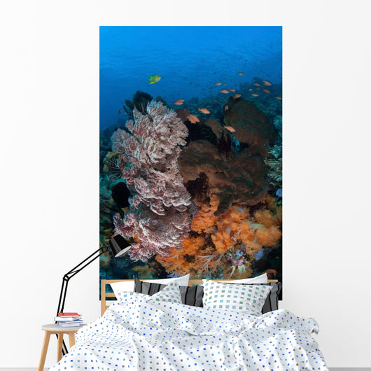 Colorful Healthy Coral Reef Wall Decal Design 7