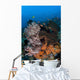 Colorful Healthy Coral Reef Wall Decal Design 7