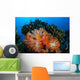 Beautiful Cluster Soft Coral Wall Decal Design 3