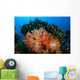 Beautiful Cluster Soft Coral Wall Decal Design 3