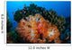 Beautiful Cluster Soft Coral Wall Decal Design 3