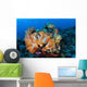 Beautiful Cluster Soft Coral Wall Decal Design 2