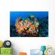 Beautiful Cluster Soft Coral Wall Decal Design 2