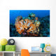 Beautiful Cluster Soft Coral Wall Decal Design 2