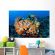 Beautiful Cluster Soft Coral Wall Decal Design 2