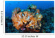 Beautiful Cluster Soft Coral Wall Decal Design 2