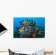 Colorful Healthy Coral Reef Wall Decal Design 6