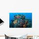 Colorful Healthy Coral Reef Wall Decal Design 6