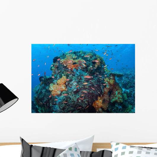 Colorful Healthy Coral Reef Wall Decal Design 6