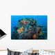 Colorful Healthy Coral Reef Wall Decal Design 6