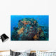 Colorful Healthy Coral Reef Wall Decal Design 6