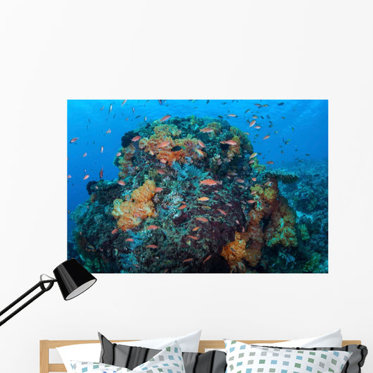 Colorful Healthy Coral Reef Wall Decal Design 6