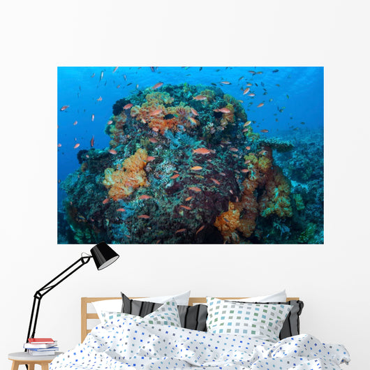 Colorful Healthy Coral Reef Wall Decal Design 6