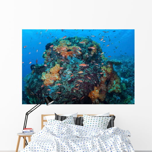 Colorful Healthy Coral Reef Wall Decal Design 6